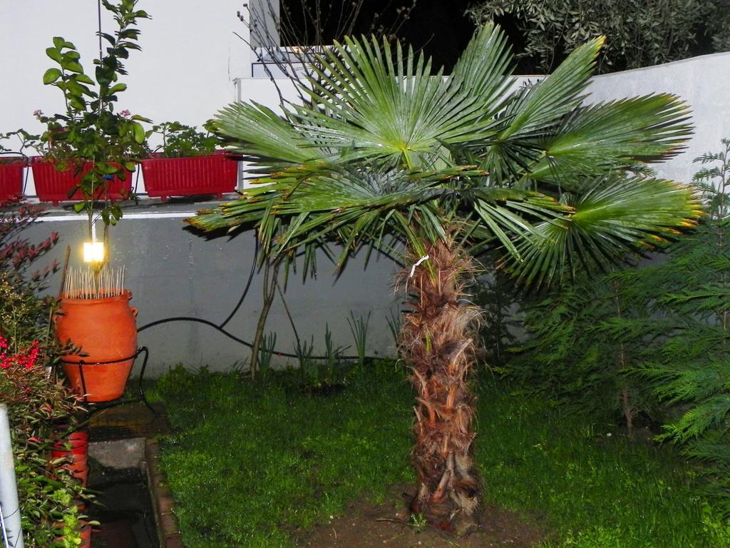 Villa Anna Limenas  Exteriér fotografie